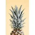 thumbnail image 2 of 1x Studio III 17x24 Black Ornate Wood Framed with Double Matting Museum Art Print Titled - Pineapple Yellow 04, 2 of 4