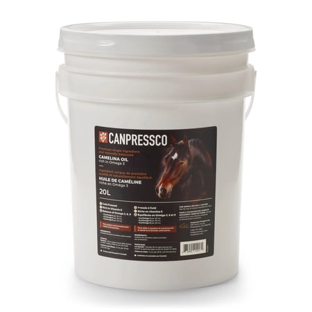 Toklat Canpressco Camelina Oil for Horses - 20L Premium Omega-3 & Vitamin E Supplement