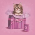 thumbnail image 2 of Cazenave, Maryline 12x12 White Modern Wood Framed Museum Art Print Titled - Gifted kitten, 2 of 4