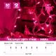 thumbnail image 5 of String Lights Hopolon, 50 luces moradas, cable blanco de 13 pies, paquete de 2, 5 of 7
