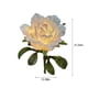thumbnail image 3 of Lámpara con Forma de Flor, Linterna de Mano, Manualidades para Niños, Kit de Bricolaje, Linterna de Flores para Deseos, Decoración de Navidad y Año Nuevo., 3 of 7