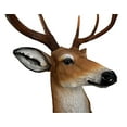 thumbnail image 5 of Ebros 8 Point Buck Deer Bust Champion Wall Mount Sculpture Plaque Figurine 21"H, 5 of 10