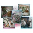 thumbnail image 1 of Small Animal Hanging Hay Rack guinea pig rabbits rack Rabbit Feeder Stand for Herbivore Pink, 1 of 9