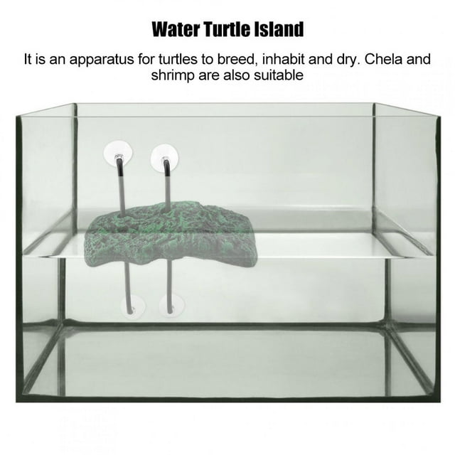 Island, Water Island Pet Supply Automatic Water For Ramp For Semi Aquatic Animals