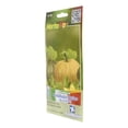 thumbnail image 2 of Semillas Calabaza Dulce Hortaflor Naranja 9 Gr, 2 of 3