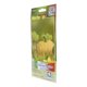 thumbnail image 2 of Semillas Calabaza Dulce Hortaflor Naranja 9 Gr, 2 of 3