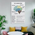 thumbnail image 6 of The Human Brain Poster, Brain And Behavior, Anatomy & Psychology, Mental Health, Therapy Office Decor, Brain Lobes Functions, CBT Art Print For Home School Office Decor, 6 of 7