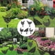 thumbnail image 2 of Juego de 5 gallinas zhang ming Decoración de jardín 25 cm x 20 cm, 2 of 5