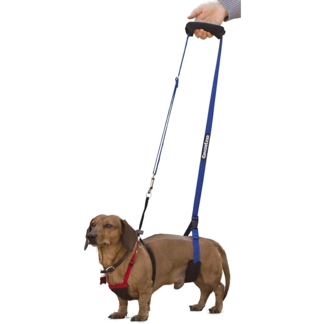 Arnés de soporte de cadera para perros GingerLead X-Small