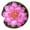 Pink, variant on PPKVUFD 1 Pcs Artificial Floating Foam Lotus Flower with Water Lily Pad, Floating Artificial Lotus Flowers Decor Floating Pond Decor, Lifelike Ornanment Home Garden Pond Decor(Purple)