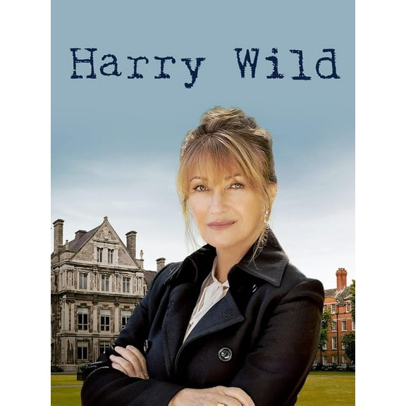Harry Wild - Drama, Mystery, Comedy D v D