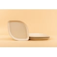thumbnail image 5 of Pickytarian, Compostable Disposable Appetizer Plates, Brown, Bamboo, 8 Ct, 8", 5 of 5