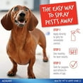 thumbnail image 3 of Adams Plus Pet Fleas & Ticks Spray for Cats and Dogs 16 oz. 2-Pack, 3 of 6