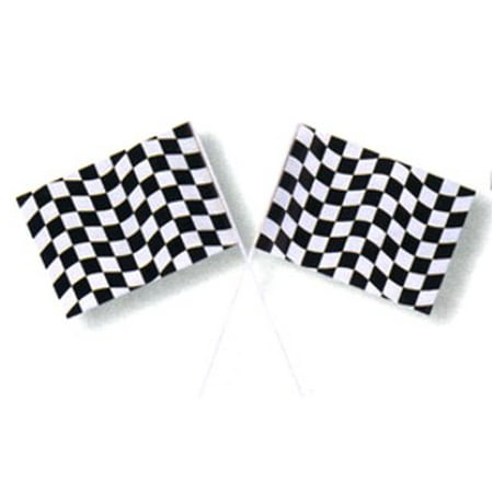 - Race Party Plastic 6 inch X 9 inch Checkered Flag