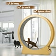thumbnail image 5 of FRCOLOR  Cat Running Wheel for Indoor Use Removable Scratcher Quiet and Safe Design, 5 of 7