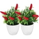 thumbnail image 3 of 2pcs Artificial Pepper Tree Fake Pepper Tree Bonsai Small Pepper Tree Bonsai Decoration, 3 of 3