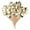 Gold, variant on LSLJS 50 Pcs Crown Cocktail Picks, Valentines Day Decor, Natural Wooden Toothpicks with Glitter Crown Pendants, Food Decoration Skewers Fruit Sticks for Appetizers Snack Dessert Party Supplies