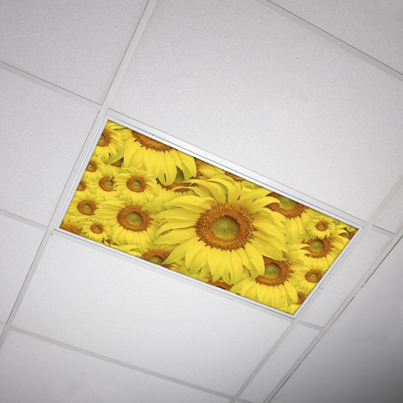 Fluorescent Light Covers Decorative