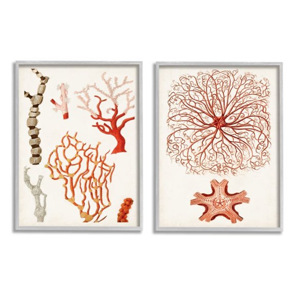 Stupell Industries Collage of Unique Ocean Coral Red Brown Design by Unknown Artist