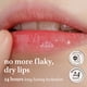 thumbnail image 5 of Mascarilla labial NOONI Appleberry Vegan Overnight 12 ml hidratante, 5 of 9