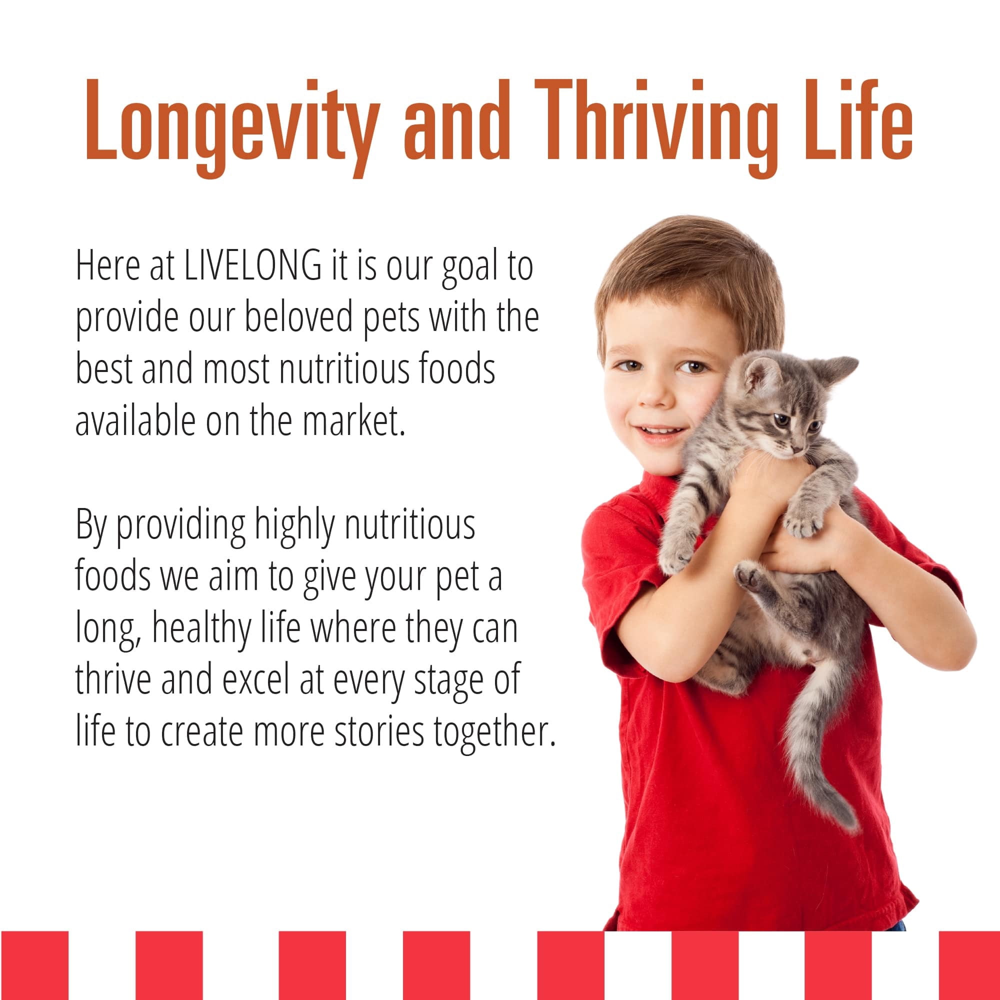 Livelong Healthy & Strong: 24 Pack: Yummy Turducken - 5.5oz Cans, Wet Cat Food, High-Quality Meat, High Protein, Natural, No Preservatives,