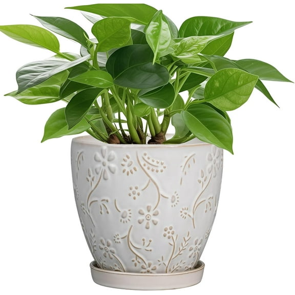 6 Inch Ceramic Plant Pot for Indoor Plants Outdoor Round Planter Flower Pot with Drainage Hole and Saucer for Home Garden Office Decor White
