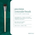 thumbnail image 3 of EcoTools Precision Concealer Brush, 3 of 8