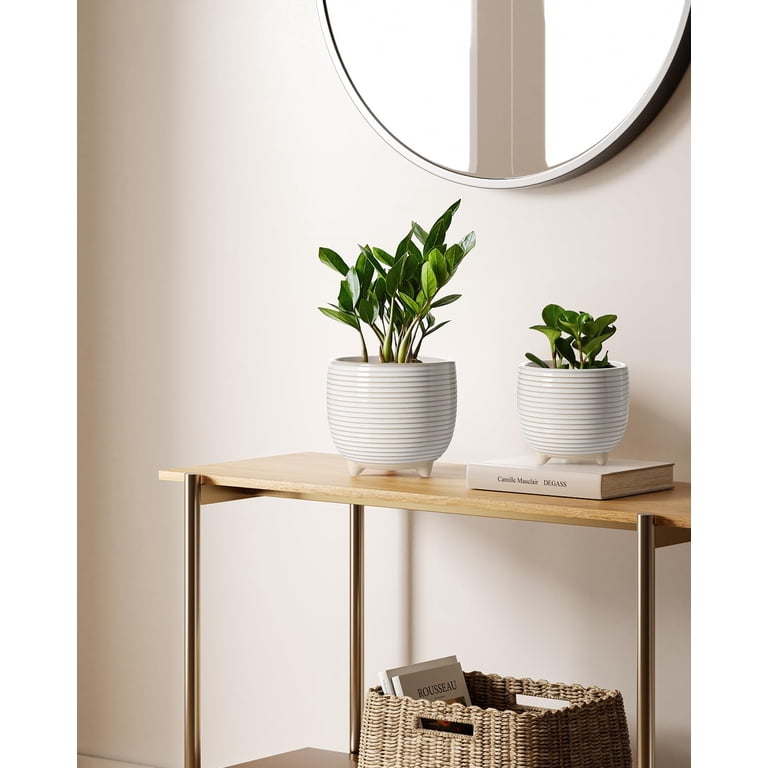 Ceramic Plant Pots with Drainage Holes, Set of 2 photo 6