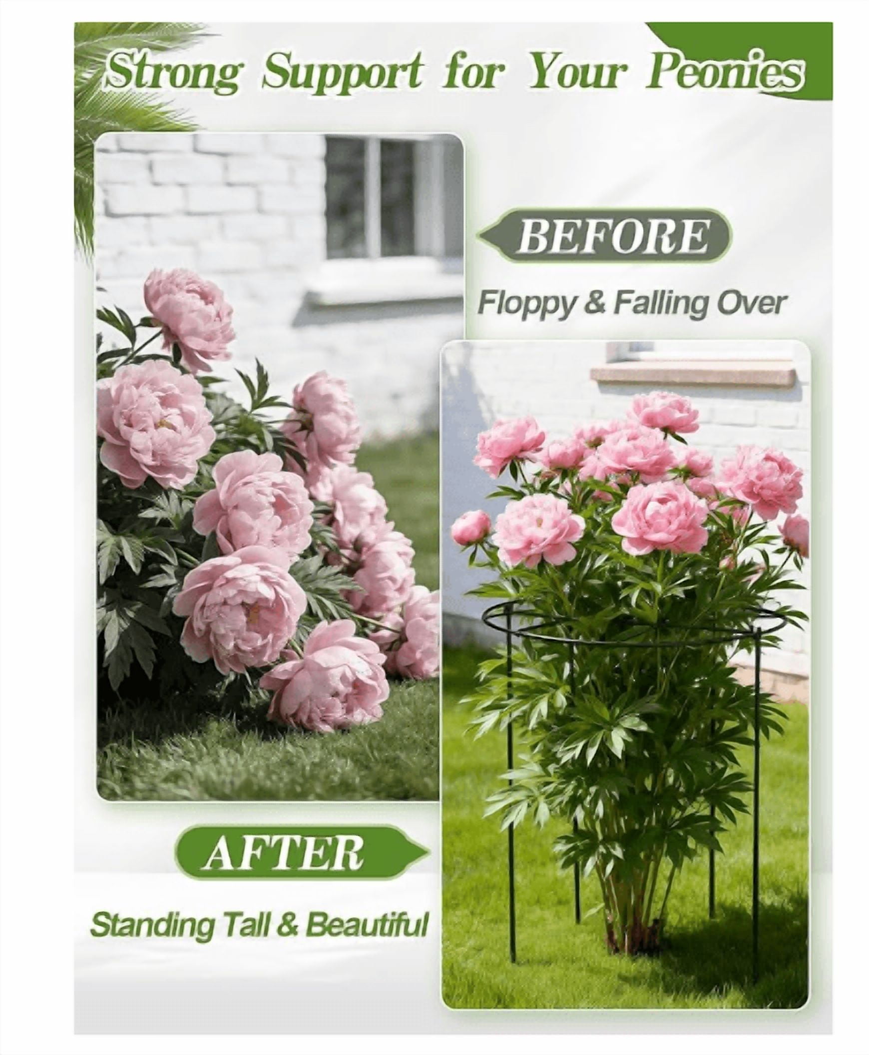 3 Sets 18''H x 14''Dia Large Peony Cages and Support - Heavy-Duty Metal Legs, Plant Support Cage for Outdoor Plants, Flower Trellis for Hydrangea Rose Tomato
