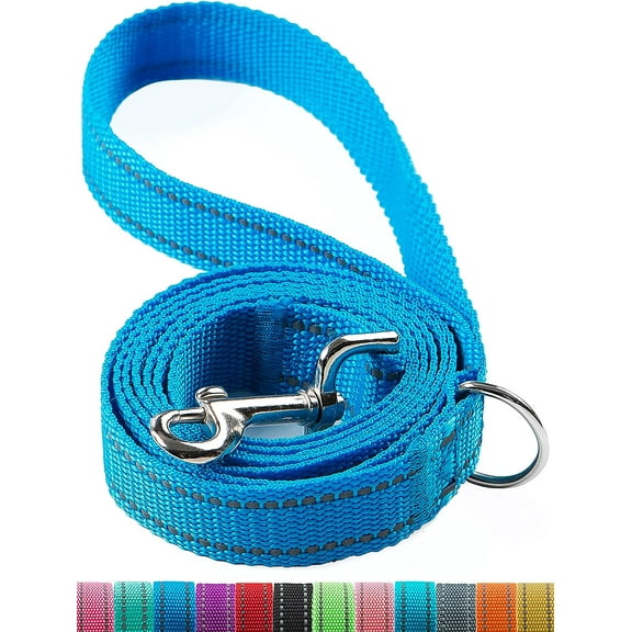6FT Reflective Dog Leash for Large&Medium and Small Dogs, Strong and Durable Nylon Leashes for Walking and Training,6 Foot Dog Leash with D Ring for Puppy (Blue, 3/4 inch x 6FT)