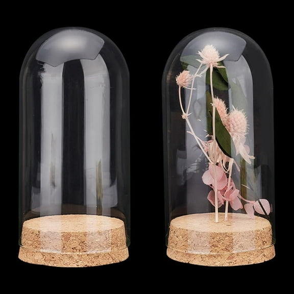 30 Pack 20ml Glass Jars Bottles Glass Display Cloche Dome Decoration Bottles 1.95x1.2" with Cork Stoppers for Party Favors Arts Projects Home Decoration DIY