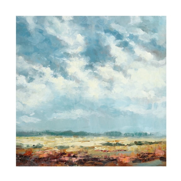 Canvas Wall Art - Rebecca Fox 'Cloudy and Blue' Wall Art for Living Room, Bedroom, or Office Décor by Trademark Fine Art - 14 x 14 Inches