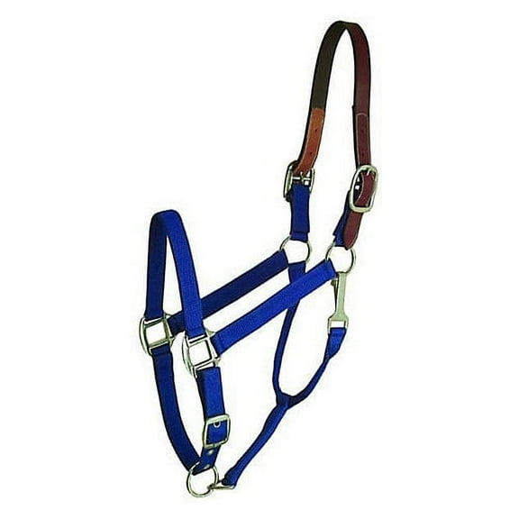 Gatsby Nylon Breakaway Halter Horse Royal
