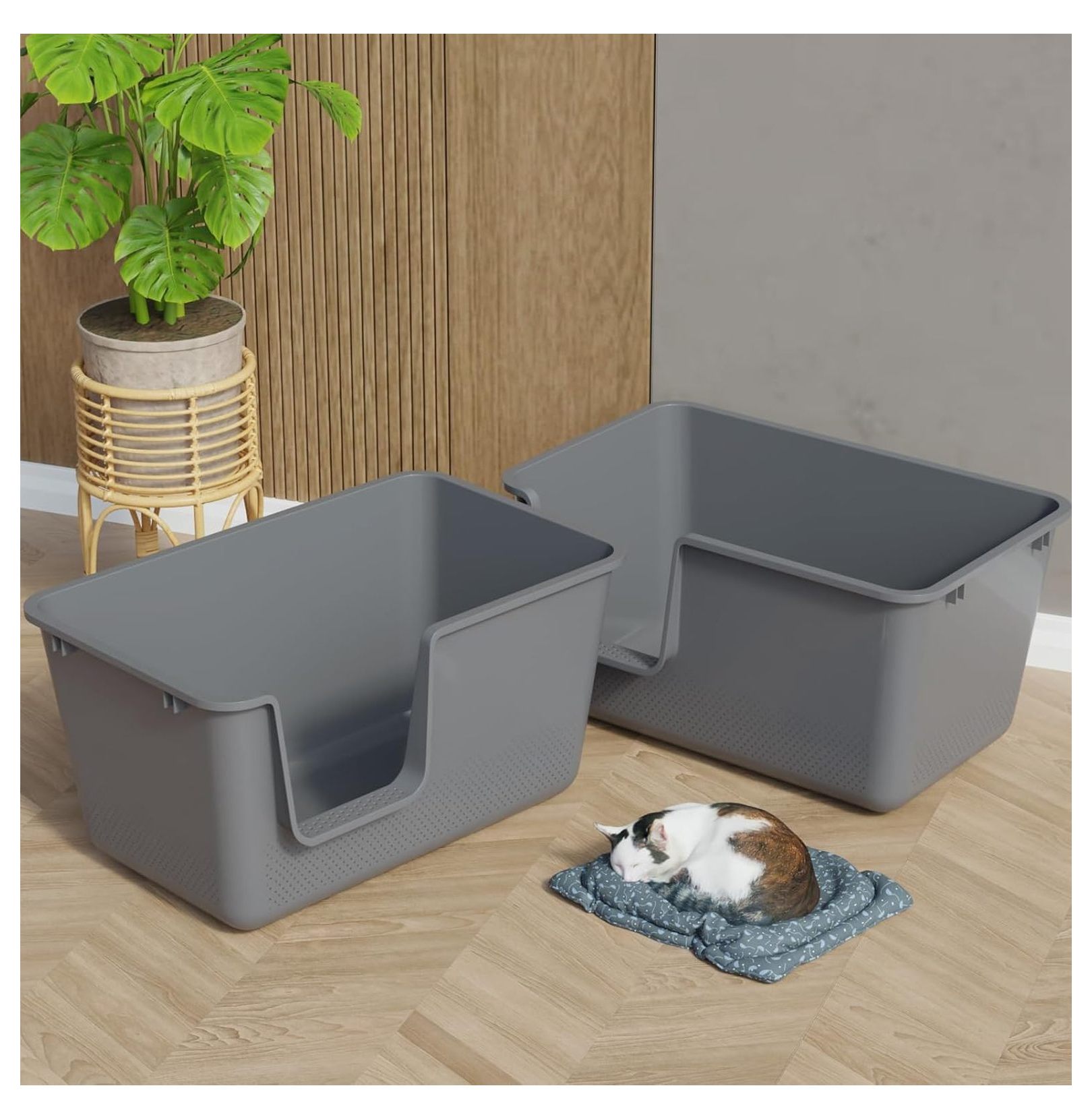 4-Pack Cat Litter Box with High Sides and , Plastic Open Litter Box, Gray