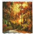 thumbnail image 3 of Ambesonne Scenery Shower Curtain, Autmn Leaf Tree Forest, 69"Wx84"L, Orange Yellow, 3 of 3
