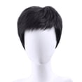 thumbnail image 1 of Mens Full Head Synthetic Wig - Handsome & Natural Look for Middle-Aged & Elderly, Multiple Colors Available, 1 of 8