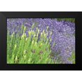 thumbnail image 2 of Styber, Dana 18x13 Black Modern Framed Museum Art Print Titled - Flowing Lavender I, 2 of 5