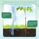thumbnail image 3 of 36 Piezas de Estacas de Plantas de Electrocultivo, Estacas de Jardín, Antena de Jardinería de Cobre de Electrocultivo para Soporte de Plantas de Jardín de 12 Pulgadas, 3 of 7