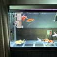 thumbnail image 4 of BESTYASH 2Ud Bubbler De Aire De Madera Para Acuario Piedra Protein Skimmer Silenciosa, 4 of 6