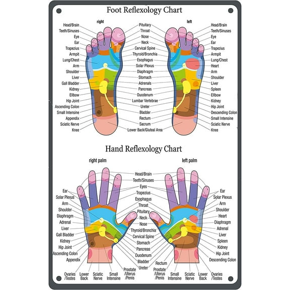 8 x 12 in Metal Tin Sign - Hand Reflexology Chart Metal Tin Sign Vintage Retro Posterfor Kitchen Cafe Bar Home Bedroom Yoga Studio Wall Decor 8x12 Inch