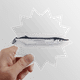 thumbnail image 1 of Ocean pescado fresco delgado Calcomanías solares de vinilo, 1 of 3