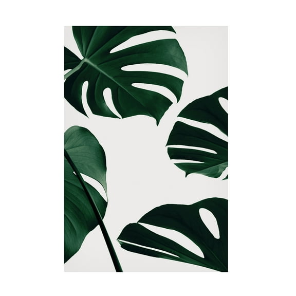 1x Studio III 'Monstera Natural 20' Canvas Art