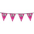 thumbnail image 1 of Boland Sweet 16 Holographic Bunting, 1 of 1