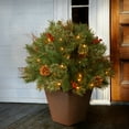 thumbnail image 3 of National Tree Company 2 ft. Pre-lit Potted Glistening Pine Porch Bush Artificial Christmas Tree, Clear Lights, 3 of 3