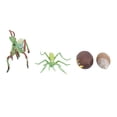 thumbnail image 2 of Insects Toy, Environmental Safe Growth Cycle Model, Odorless for Teaching Activities Education Children Playing, 2 of 7