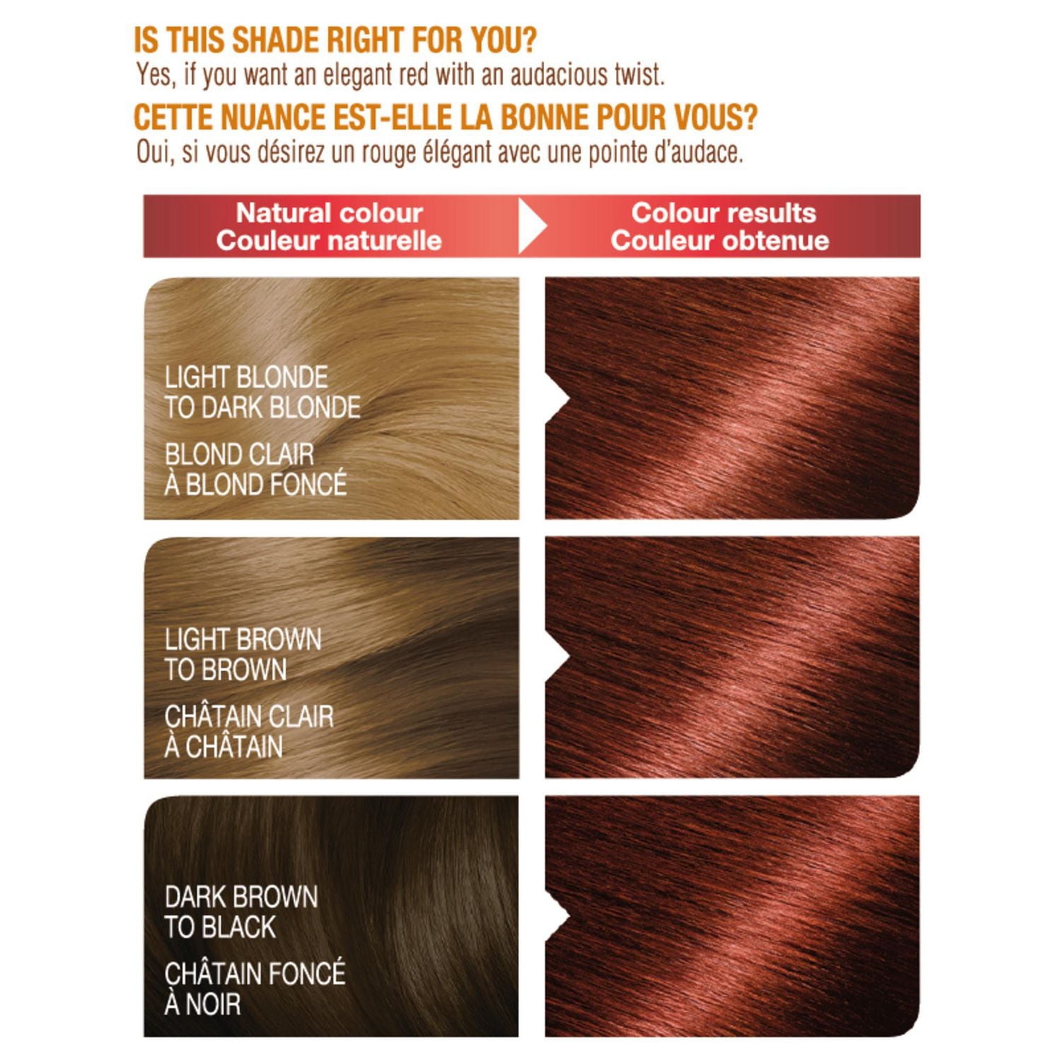 Garnier Belle Color Permanent Hair Dye, 560 Red Auburn, 100% Grey Coverage, Enriched with Argan Oil and Wheat Germ Oils - 1 Application