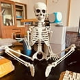 thumbnail image 4 of Life Size Posable Halloween Skeleton - 35" Realistic Human Skeleton with Movable Joints for Outdoor & Indoor Spooky Decor, 4 of 7