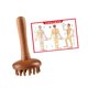 thumbnail image 3 of Peine de masaje de madera para cabeza y cuero cabelludo, masaje Gua Sha, versátil y ergonómico, con mango, herramienta para meridianos, para adultos,, 3 of 9