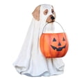 thumbnail image 1 of Favores para Perros Colco Cuenco de caramelo, 1 of 8