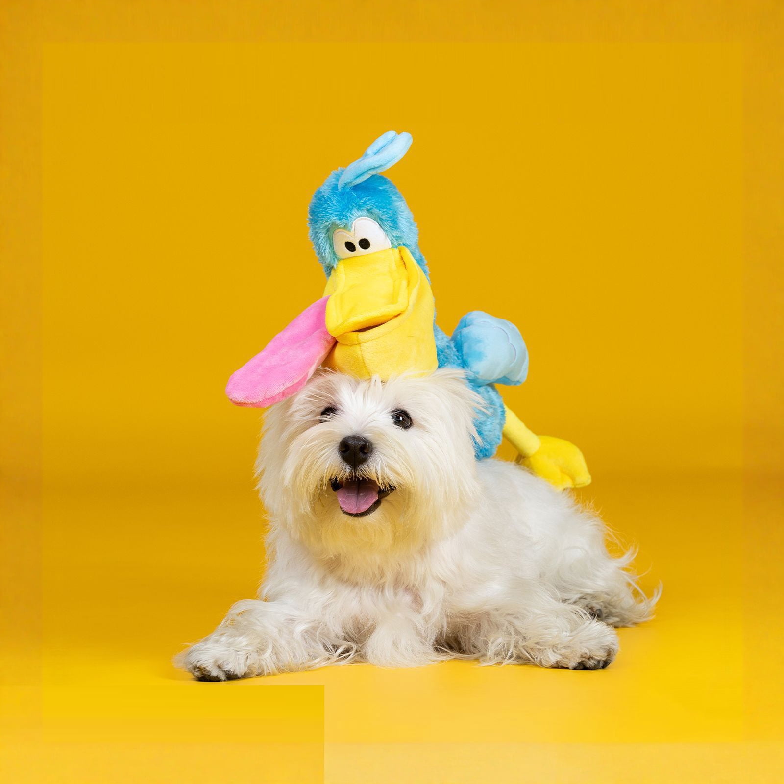 Squeaky Bird Dog Fetch Toys for Golden Retrievers,Durable Treat Dispensing Puzzle Toy for Border Collies,Tough Interactive Pet Companion for Mental Stimulation